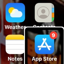 A screen shot of an iPhone with the App Store highlighted using VoiceOver
