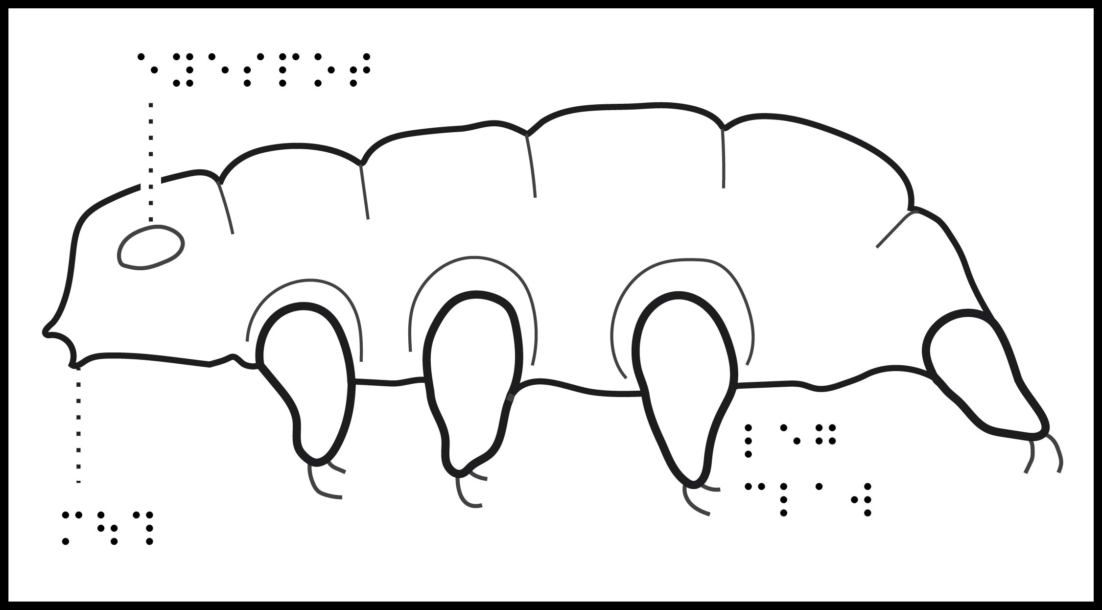 Side view of a tardigrade, showing 4 legs, eyespot, and braille labels.