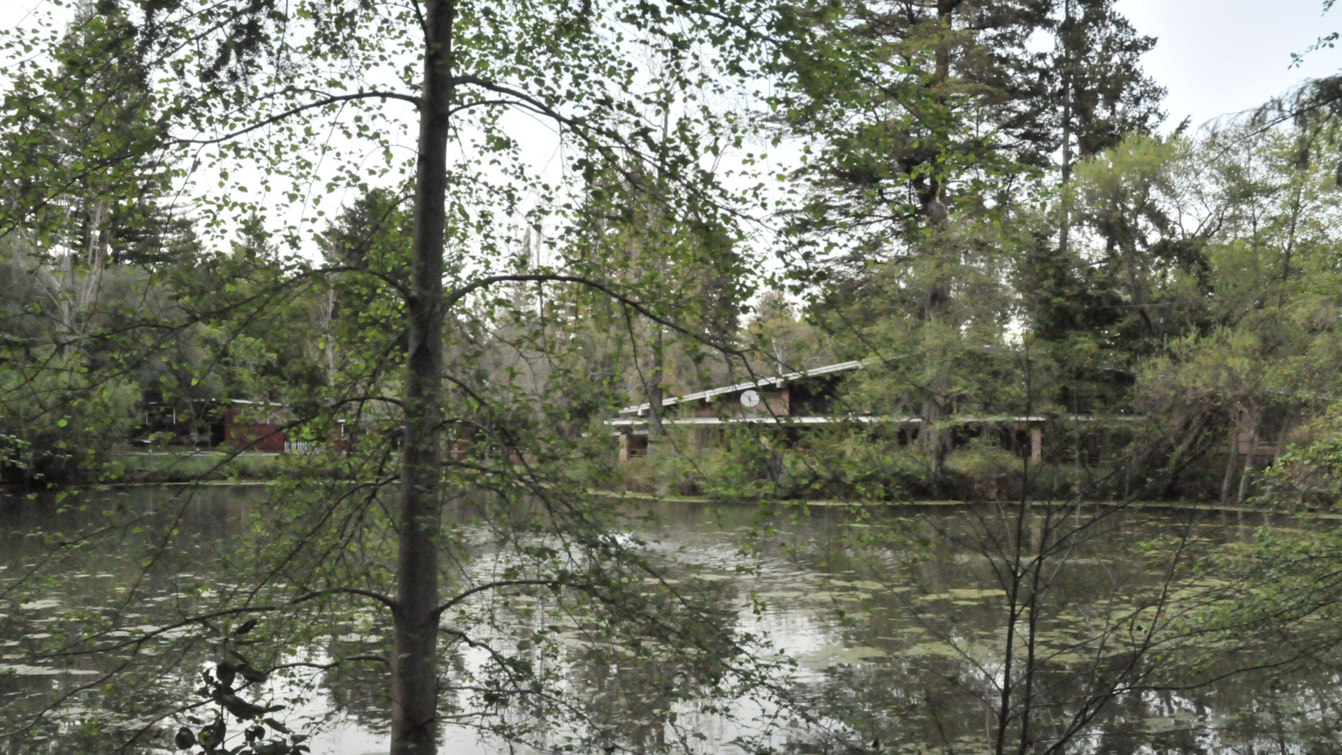 How EHC is handling the winter rain... plus it’s a full summer season of camp sessions!