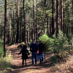 Members of the LightHouse Gala team walk the trails of EHC, surrounded by redwood trees