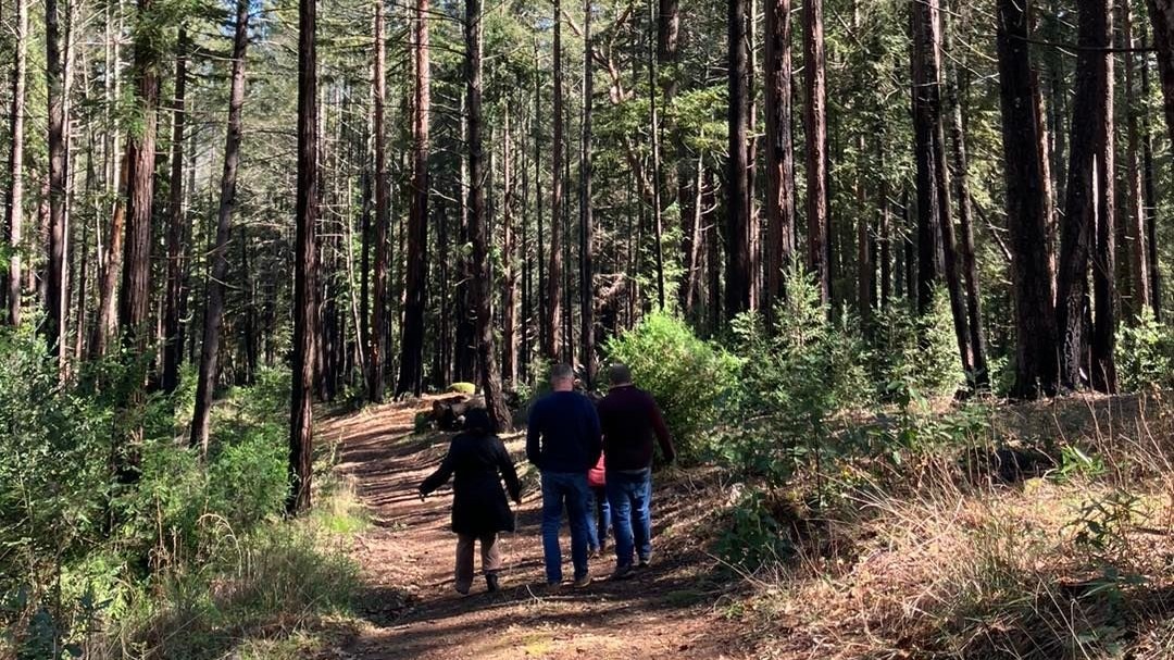 Members of the LightHouse Gala team walk the trails of EHC, surrounded by redwood trees