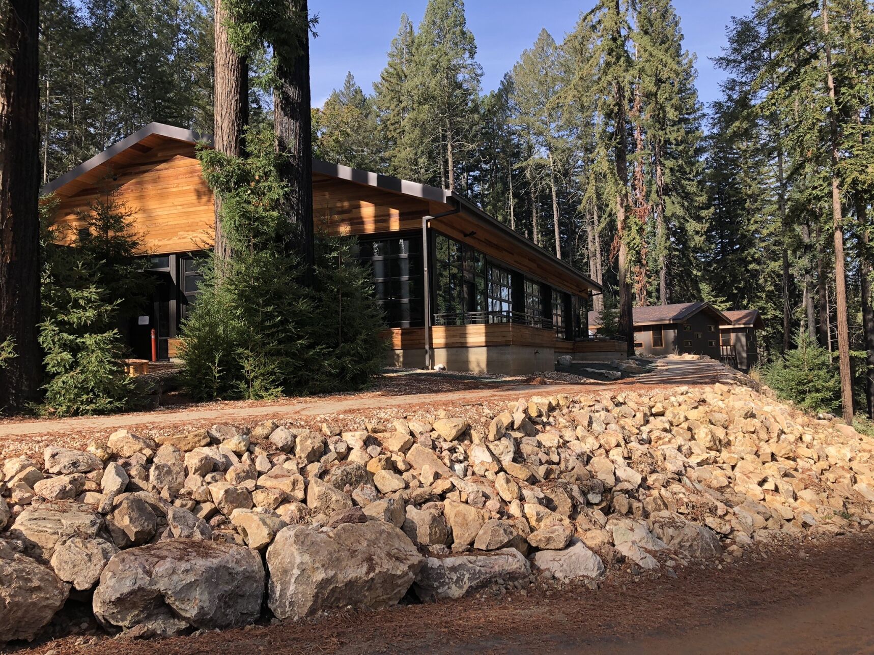 A new structure at EHC with external wood paneling, large windows, and is surrounded by redwood trees and newly paved paths