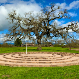 An image of the spiral-like designed Labyrinth on the EBC campus, a large oak tree can be seen in a green meadow just beyond the Labyrinth