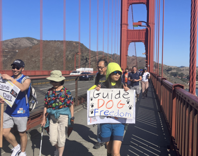 White Cane Day marchers cross the Golden Gate Bridge. A person carries a sign that reads, “Guide Dog Freedom”.