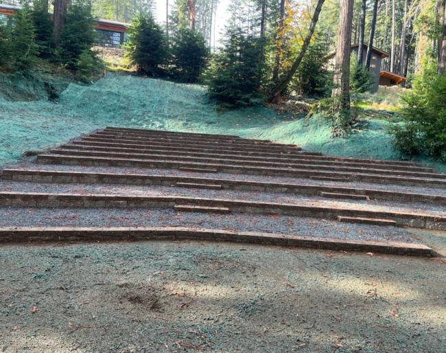 A straight forward view of the Redwood Grove benches