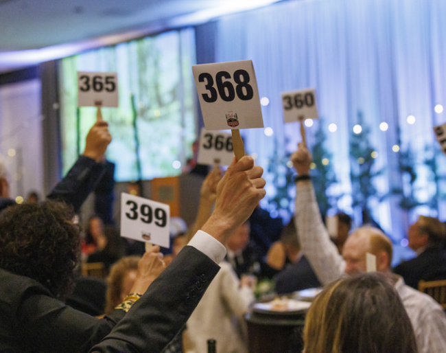 A view of hands raising numbered paddles during the live auction